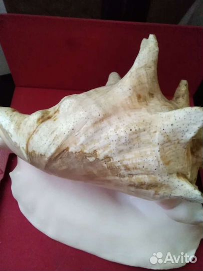 Морская