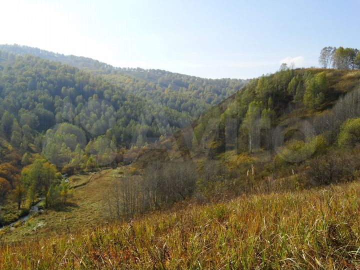 Участок 40 га (СНТ, ДНП)