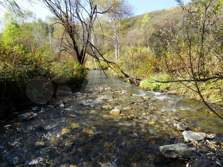 Участок 40 га (СНТ, ДНП)