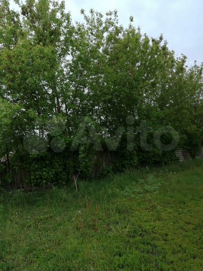 Участок 40 сот. (ИЖС)