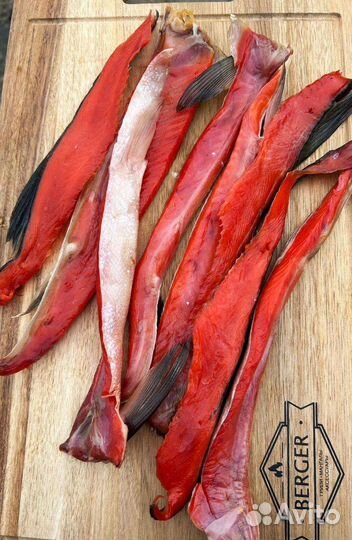 Нерка теша хк