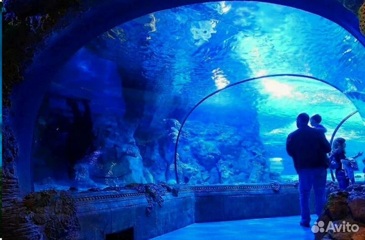 Билет в Океонариум