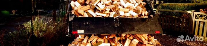 Дрова свежие