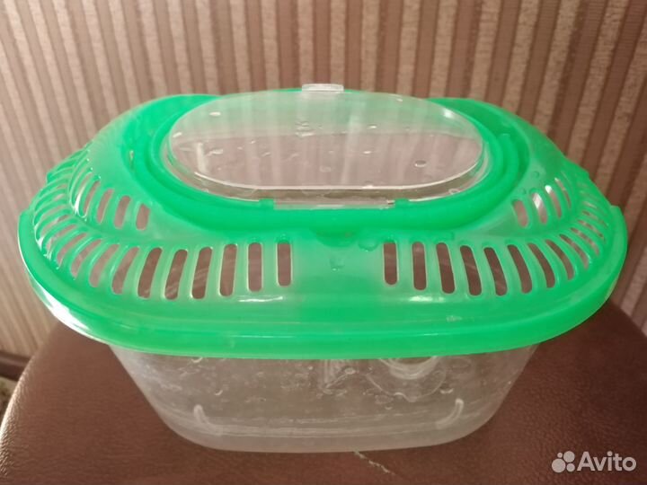 Аквариум для красноухой черепахи