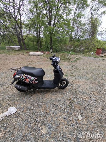 Suzuki lets 6