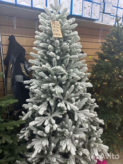 Новогодняя елка в снегу