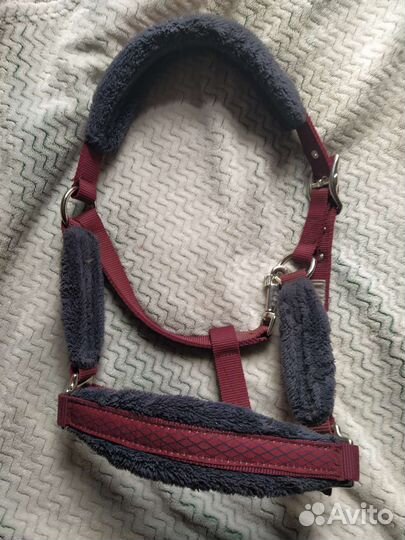 Конная амуниция бу