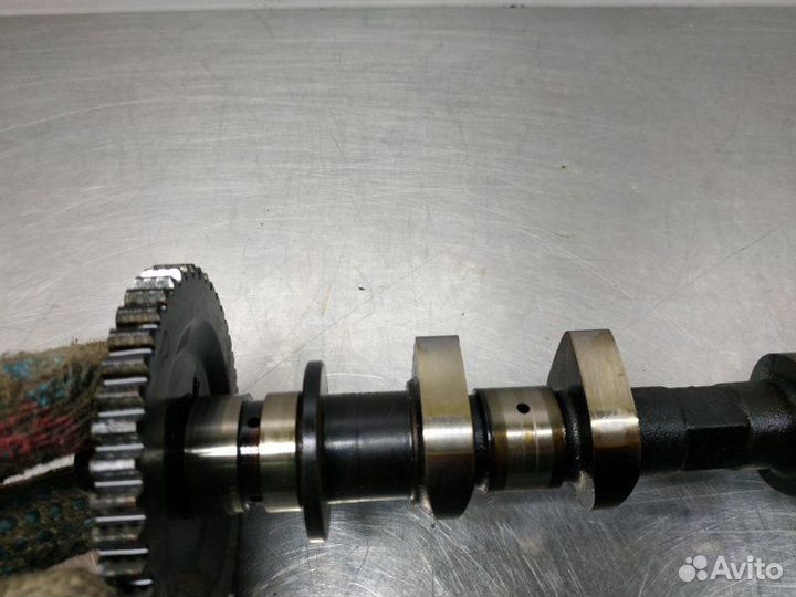 Выпускной распредвал Nissan X-Trail T31 MR20DE