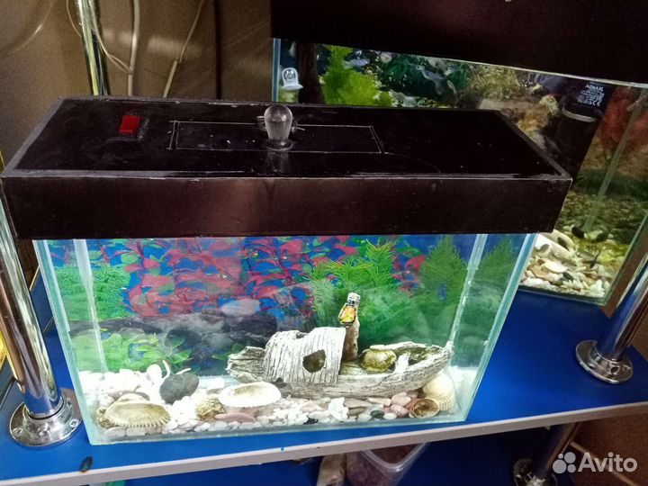 Аквареум