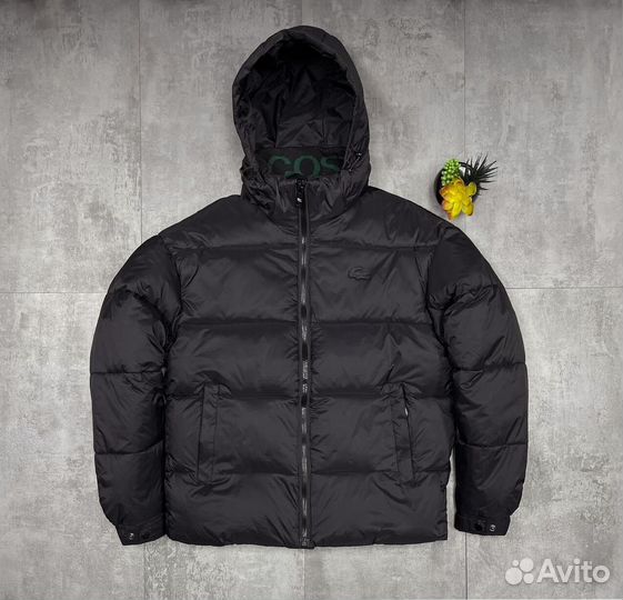 Куртки Lacoste на зиму