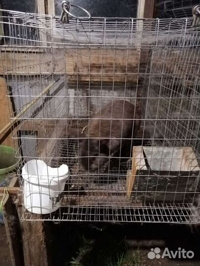 Клетка для кролика