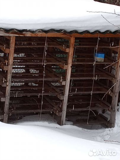 Клетки для перевозки кур