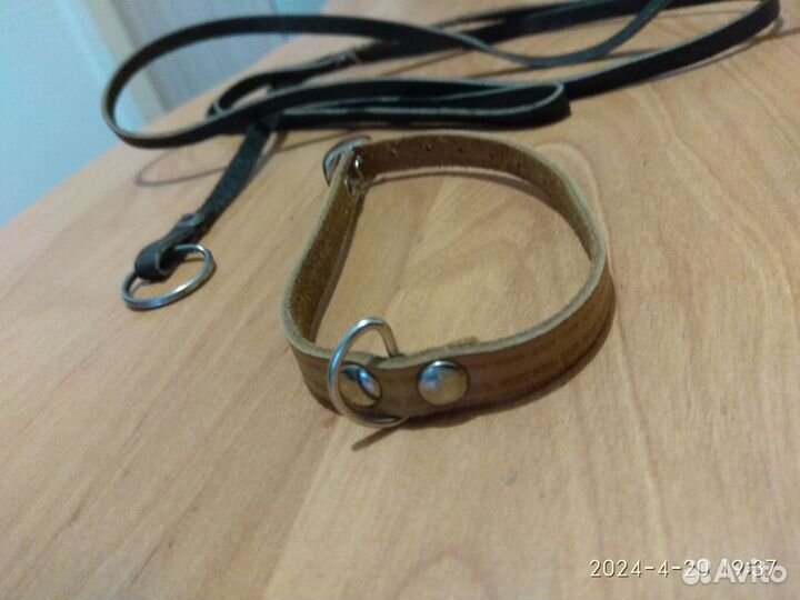 Шлейка. Поводок, ошейник, когтерезка, миски