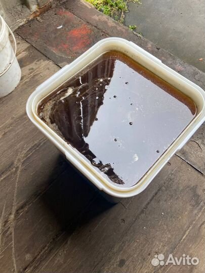 Мед гречиха оптом 2024