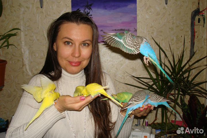 Репетитор по биологии к огэ, егэ и впр