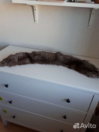 Меховой воротник песец