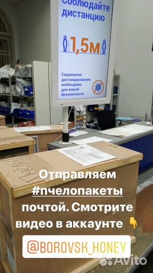 Пчелопакет Карника и Бакфаст F1