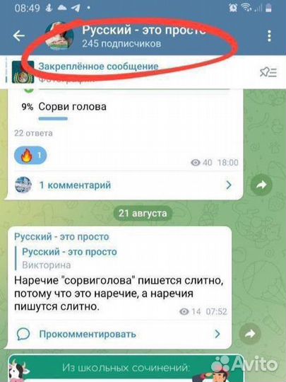 Продвижение в телеграм, реклама и клиенты