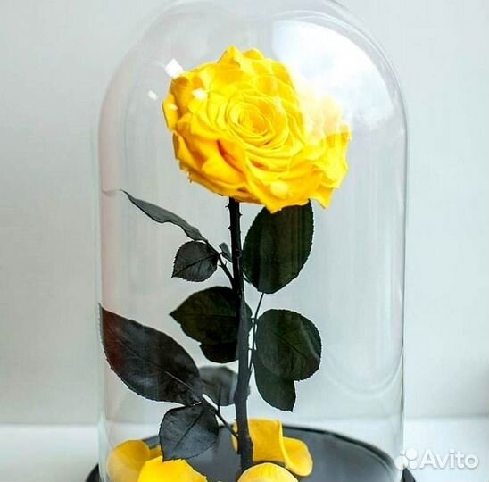 Вечная роза в колбе