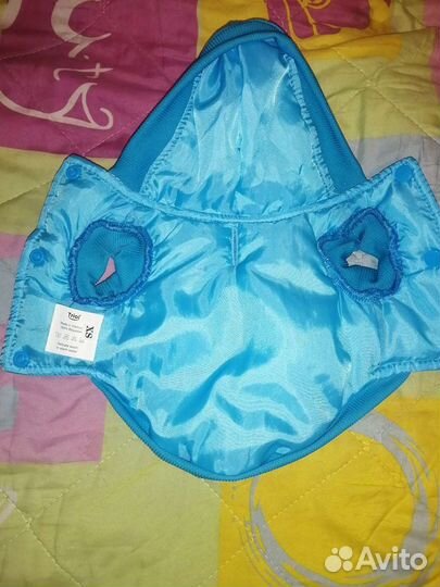 Одежда для животных