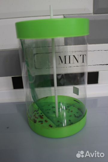 Бабочкарий