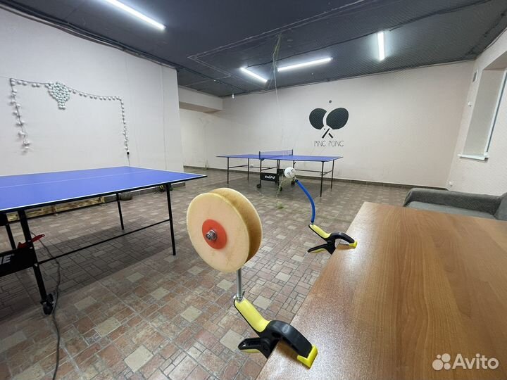 Продам готовый бизнес - настольный теннис