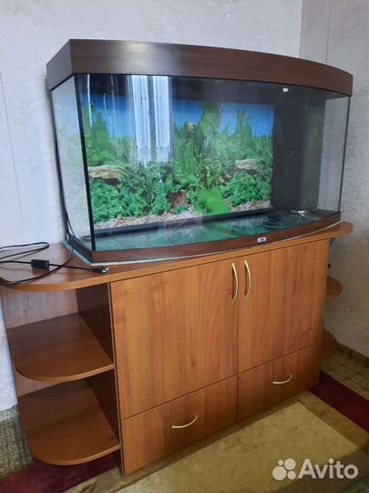 Аквариум с тумбой 240 литров