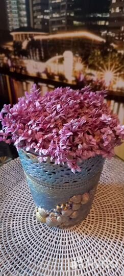 Каллизия розовая пантера