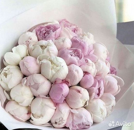 Пионы Розы Доставка