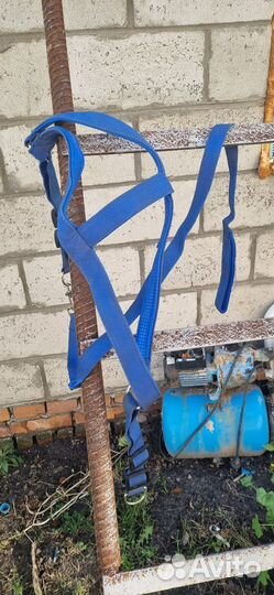 Намордник кожаный, ошейник, шлейка