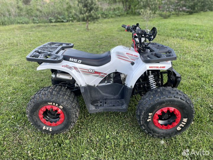 Детский квадроцикл Motoland 125 Wild