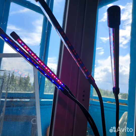 Фитолампа для растений полный спектр