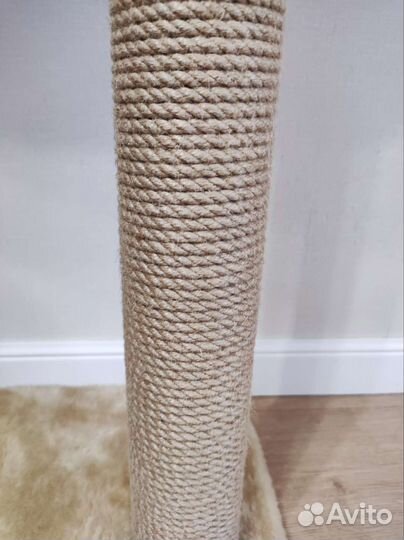 Когтеточка