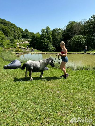 Тур Голубая лагуна, экоферма, воздушный шар