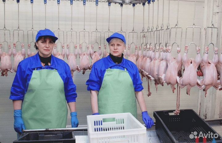 Упаковщики на Вахту компенсация проезда