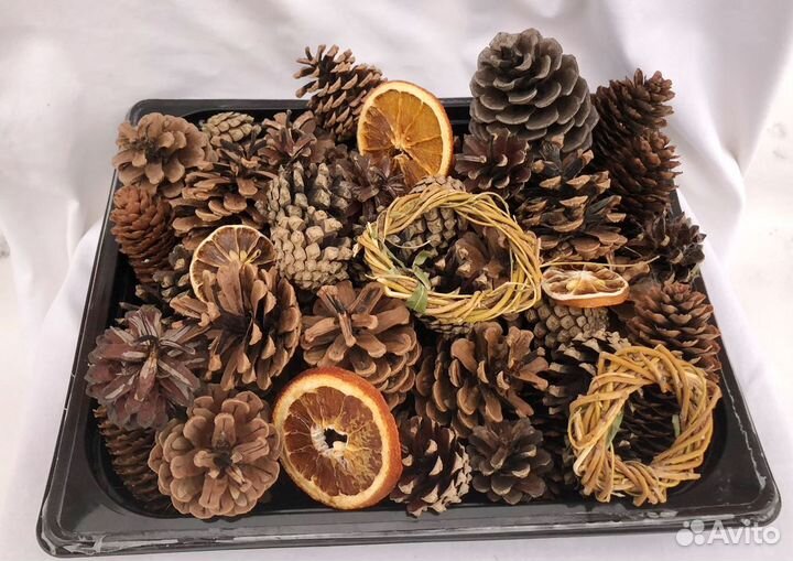 Шишки еловые, сосновые для декора и поделок