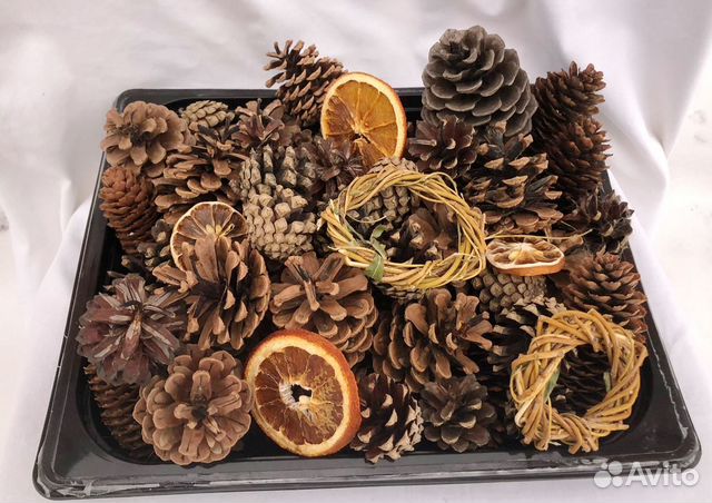 Шишки еловые, сосновые для декора и поделок