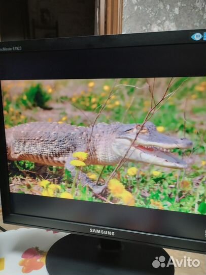 Монитор Samsung