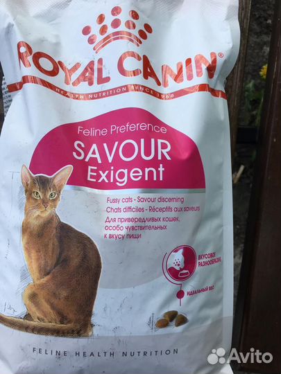 Сухой корм для кошек