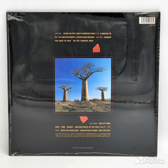 Pink Floyd - Delicate Sound Of Thunder (1988) 2LP