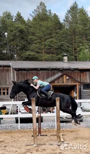 Обучение верховой езде