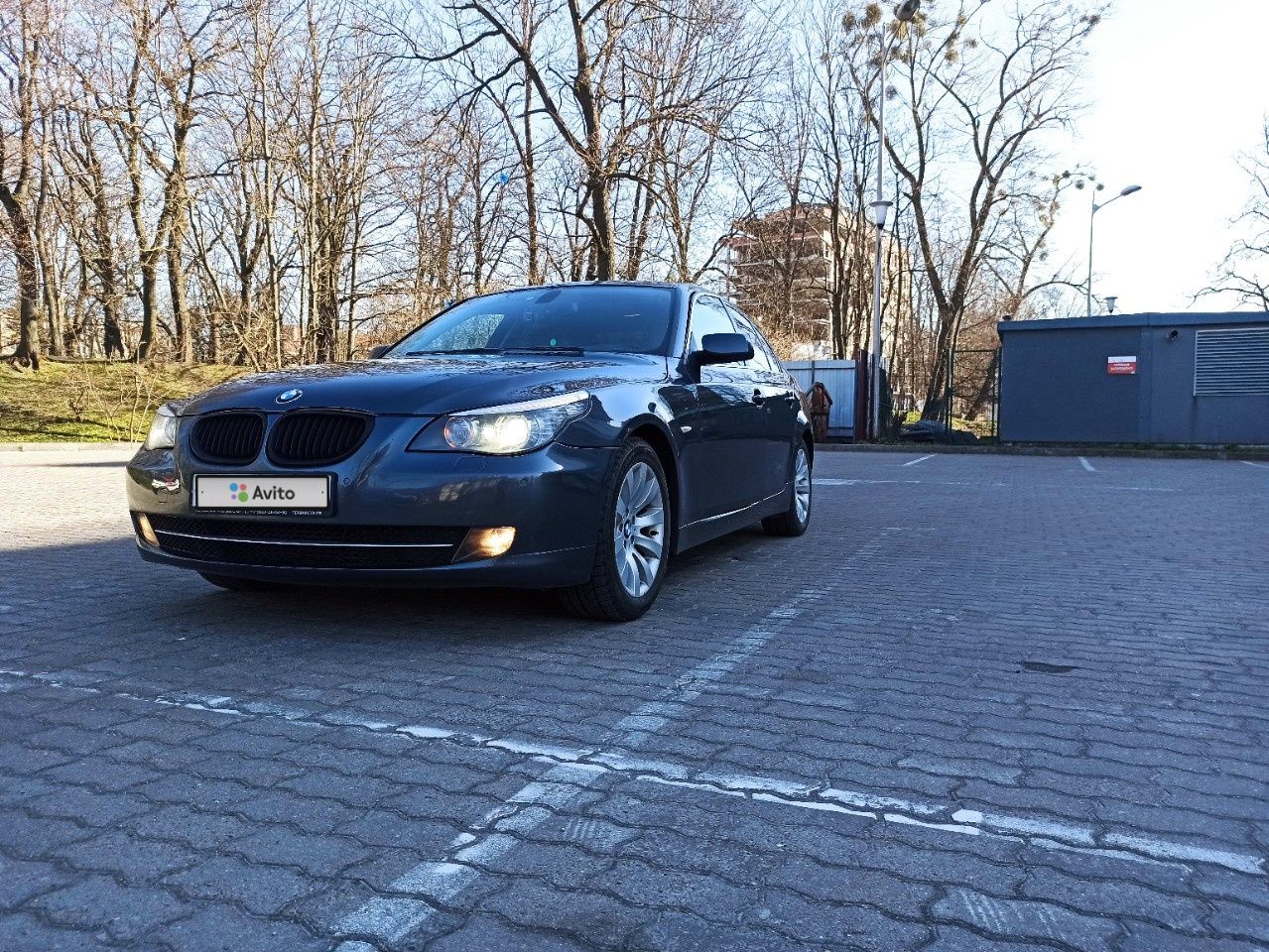 BMW 5 серия: фото владельца