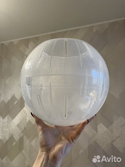 Шар для грызунов