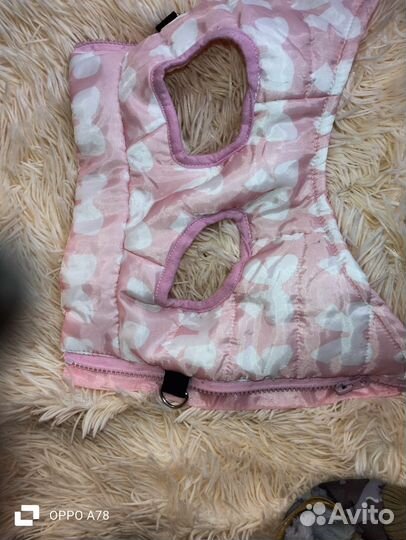 Одежда для маленьких собак