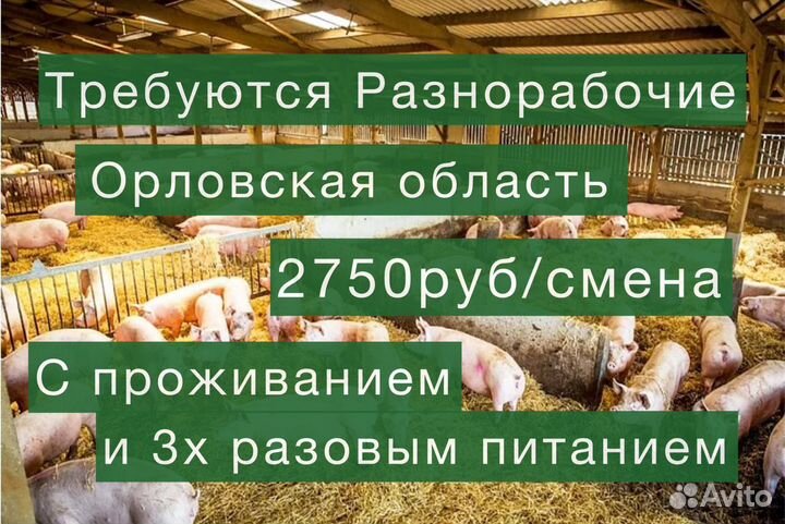 Работа вахта с 3х разовым питанием. Орел