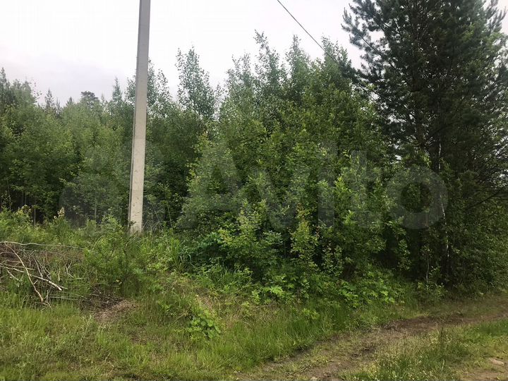Участок 9,8 сот. (СНТ, ДНП)
