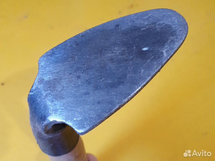 Лапа сапожная