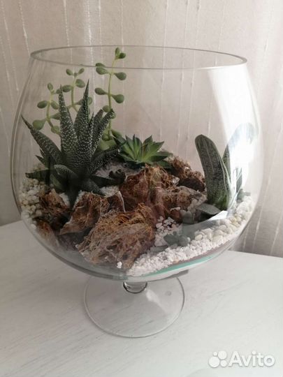 Флорариум 
