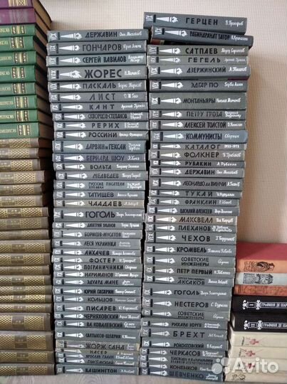 Книги серия жзл