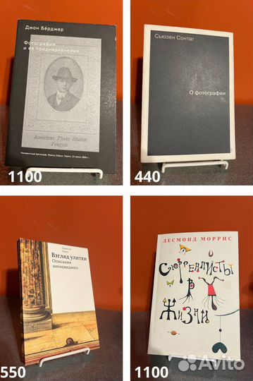 Книги - нон-фикшн / искусство / биографии